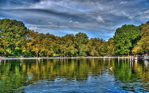 Central Park Central Park