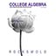 College Algebra with Modeling & Visualization
